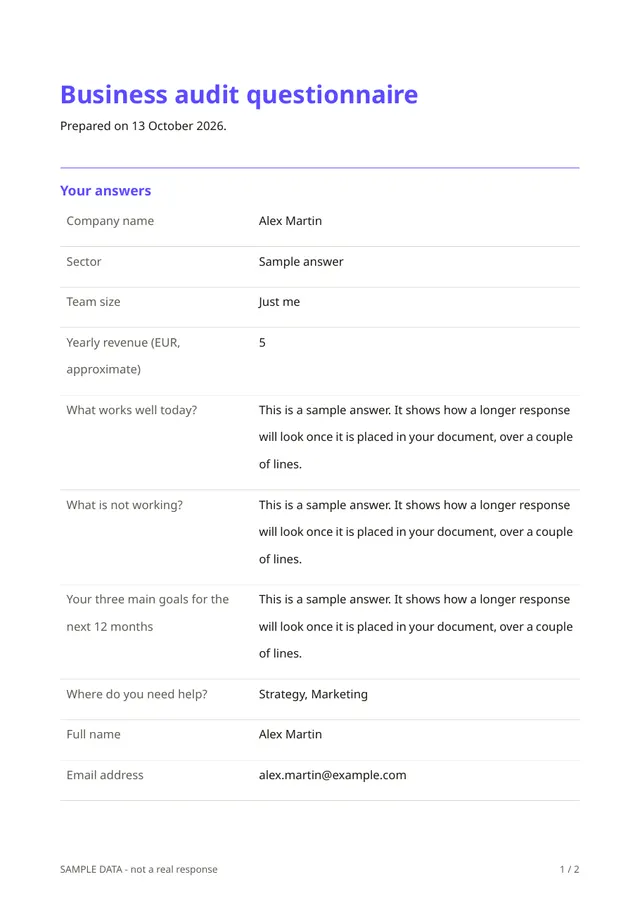 First page of the sample PDF made by the Business audit questionnaire template